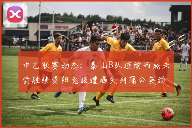 中乙联赛动态：泰山B队连续两轮未尝胜绩贵阳竞技遭遇失利蒲公英顽强战平