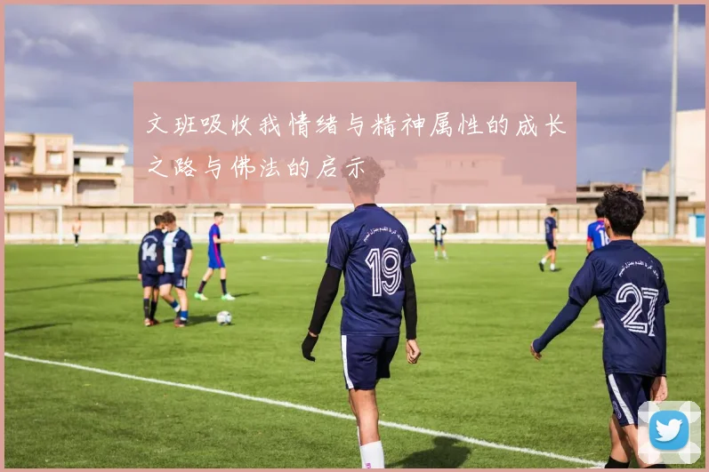 文班吸收我情绪与精神属性的成长之路与佛法的启示